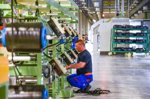 玲瓏輪胎對(duì)烏茲別克斯坦技術(shù)服務(wù)項(xiàng)目迎來新進(jìn)展