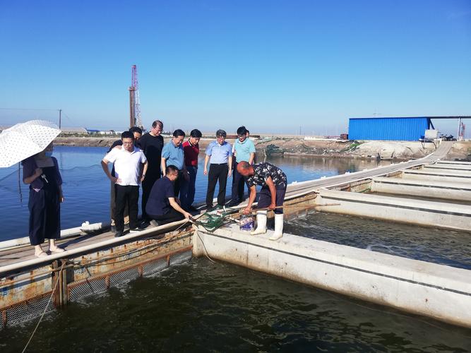 科技賦能藍色經濟 溫海深教授團隊深入唐山耕海水產科技調研紀實